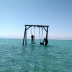 IMG-668fc7834bb3fe255cf02f2c8ee19746-V