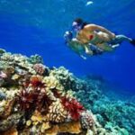 Tiran island snorkeling boat trip from Sharm el Sheikh