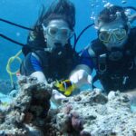 scuba diving egypt red sea