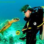 Интро дайвинг с берега в Шарм Эль Шейхе