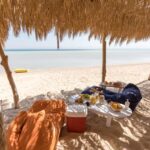 124567401_3354876351256512_4169255543995879123_o