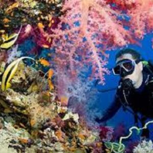Excursii de scufundari din Hurghada