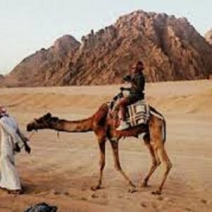 Mega Safari – Aventură în Deșert, Hurghada