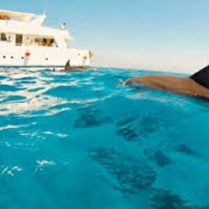 Delfine schwimmen & schnorcheln – Bootsausflug ab Hurghada
