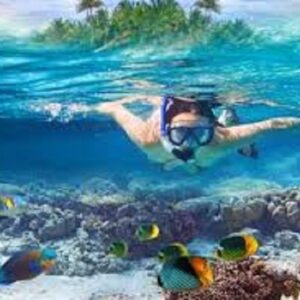 Tagesausflug Schnorcheln in Sharm El Naga