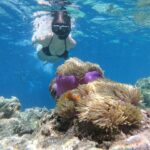 White Island en Ras Mohamed door Boat-Sharm2