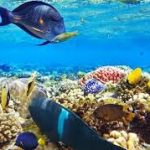 images – 2021-03-10T120617.330