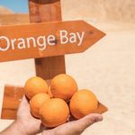 119127205_3175806479163501_6282296116250429508_o