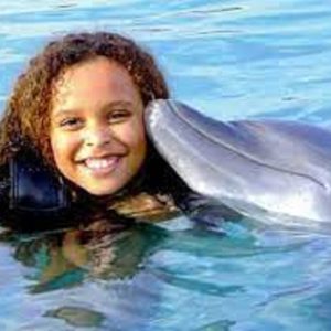 Pływanie z delfinami w Hurghadzie