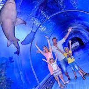 Wielkie Akwarium - Hurghada