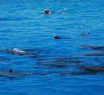 images – 2021-03-04T113258.569