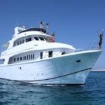 images – 2021-03-04T141231.001