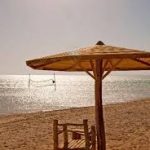 images – 2021-03-10T105529.680