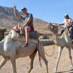 images – 2021-03-09T104346.947