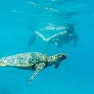 Schnorchelausflug von Marsa Alam nach Marsa Mubarak