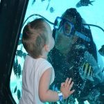 Kruizas iš stiklo dugno laivu iš Hurgados ( Sea Scope )