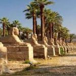 Excursion privée d’une journée à Louxor depuis Marsa alam1