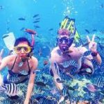 Excursion à l’île blanche et au parc national de Ras Mohammed au départ de Charm el-Cheikh