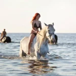 Horse riding Hurghada1