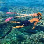 Ras Mohamed By Bus half Day