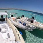 Privates Schnellboot zum Dolphin House2