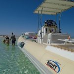 Privates Schnellboot zum Dolphin House5