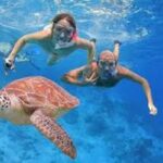 Abu Dabbab Schildkröten Ausflug ab Hurghada