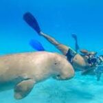 Abu Dabbab Schildkröten Ausflug ab Hurghada3
