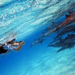 Samaday Dolphin House Snorkeling Boat Trip 3